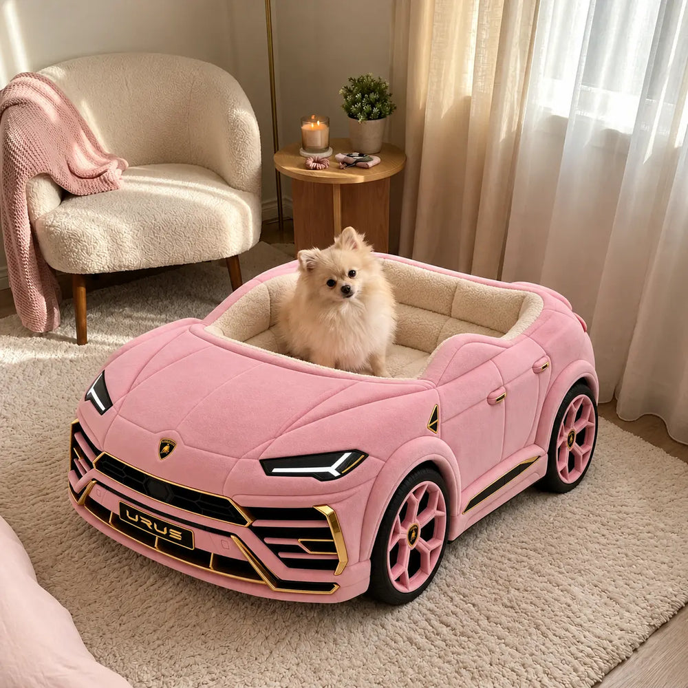 Finally a Dog Bed That Doesn’t Look Boring
